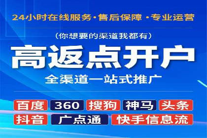 竞价排名的投放策略与效果评估案例