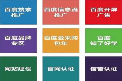 案例解读：SEM托管助力电商销售增长